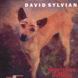 DAVID SYLVIAN "EVERYTHING AND NOTHING" 2CD set