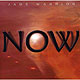 JADE WARRIOR "Now" CD