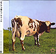 PINK FLOYD "Atom Heart Mother" CD in Mini-LP card sleeve