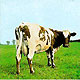 PINK FLOYD "Atom Heart Mother" CD DVD set in digipack