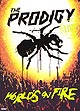 THE PRODIGY "LIVE Worlds On Fire" DVD in digipack