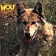 DARRYL WAY`S WOLF "Canis Lupus" CD in Mini-LP card sleeve